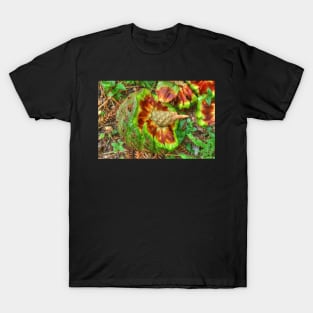 Hoop Pine Fruit Patterns T-Shirt